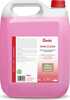 Vannitoa puhastusvahend Swish Sani Clean, 5 l