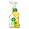 Pinnapuhastusvahend Dettol Citrus, 500 ml