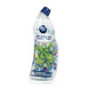 Tualetipuhastusgeel Ambipur Mint & Jasmine, 750 ml