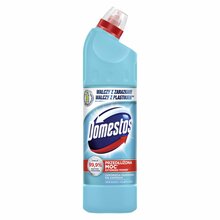 Tualetipuhastusvahend Domestos Atlantic Fresh, 750 ml