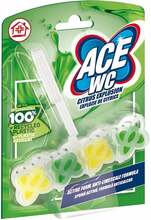WC-värskendaja-puhastusvahend Ace, Citrus explosion, 48 g