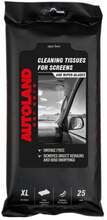 Autoklaaside puhastuslapid Autoland, 25 tk