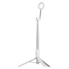 Selfipulk Ulanzi MG-003, valge
