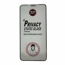 Ekraanikaitseklaas ESD Anti-Static Privacy, Apple iPhone 13 Pro Max