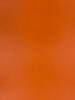 Matte värviline kaitsekile Evelatus Universal 3M, A3, oranž