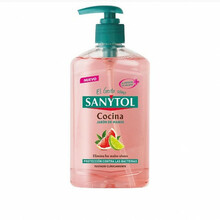 Köögikätepesuseep Sanytol, 250 ml