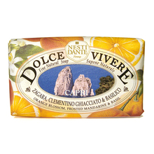 Lõhnastatud seep Nesti Dante Dolce Vivere Capri, 250 g