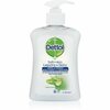 Vedelseep Dettol Soft on Skin Aloe Vera, 250 ml