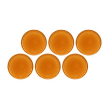 Lõunataldrikute komplekt Rose&Tulipani Arpeggio, 6 tk, 25 cm, oranž