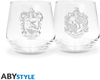 Klaaside komplekt Harry Potter Ravenclaw & Hufflepuff Europe, 2 tk