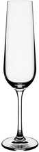 Šampuseklaaside komplekt Homla Brilliant Basic, 0,2 L, 4 tk