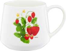 Tass Ambition Frutti, portselan, valge/punane/roheline, 460 ml