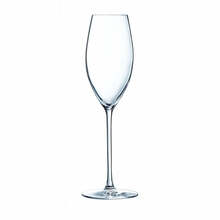 Šampuseklaaside komplekt Luminarc Grand Chais, 240 ml, 4 tk