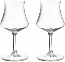 Rummiklaaside komplekt Maku, 0,17 L, 2 tk