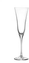 Šampuseklaaside komplekt Rcr, kristall, 0,17 L, 6 tk
