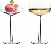 Kokteiliklaaside komplekt Iittala Essence, 310 ml, 2 tk