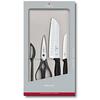 Köögiriistade komplekt Victorinox Swiss Classic, 4 tk