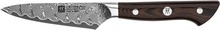 Koorimisnuga Zwilling TANREI 30570-101-0, 10 cm