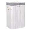 Pesukast Springos HA0076, 60 x 40 x 72 cm, 72 L, valge
