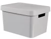 Hoiukast Curver Infinity, 17 l, hall