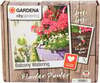 Automaatne kastmiskomplekt Gardena City Gardening 01407-20