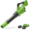 Greenworks BL48L420-01