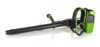 Greenworks GD60BPB