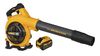 DeWALT DCM572X1