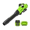 Greenworks BL2206HA2