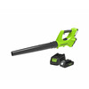 Greenworks G24ABK2