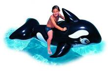 Täispuhutav vaalapaat Intex Whale Ride-On, 193 x 119 cm
