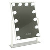 Kosmeetiline peegel Roger LED, 30 x 40 cm, USB-ühendusega