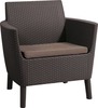 Aiatoolide komplekt Keter Salemo Duo, 74 x 67 x 76 cm, pruun