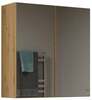 Vannitoakapp Top E Shop Pola 2DL, 22 x 60 x 60 cm, tamm
