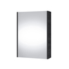 Vannitoakapp Riva SV 50A-5E, peegliga, 13.8 x 47.6 x 67.6 cm, puit