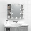 Peegelkapp Soduinamams, LED, 70 x 16.5 x 60 cm, hall tamme