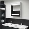 LED-vannitoa peegelkapp, 50 x 13.5 x 60 cm