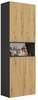Vannitoakapp Top E Shop Nel DK 1K, 30 x 60 x 174 cm, antratsiit/tamm
