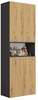 Vannitoakapp Top E Shop Nel DK 2K, 30 x 60 x 174 cm, antratsiit/tamm