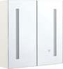 Vannitoakapp Shumee Chabunco, LED-peegliga, 14 x 60 x 60 cm, valge