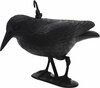 Aia dekoratsioon Koopman Vares, must, 35,5 x 19 x 13 cm