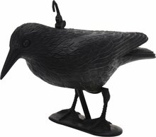 Aia dekoratsioon Koopman Vares, must, 35,5 x 19 x 13 cm