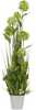 Kunstlill Home4You SODE A120cm, roheline hortensia potis