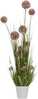 Kunstlill Home4You SODE, lilla, 120 cm, potis