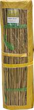 Bambusaed Home4you IN GARDEN, 1,5 x 5 m, D8/10 mm