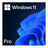 Microsoft Windows 11 Pro, 64 Bit, ESD, 1 PC litsents