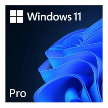 Microsoft Windows 11 Pro, 64 Bit, ESD, 1 PC litsents