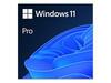 Microsoft Windows 11 Pro, 64-bit, ESD, All Languages