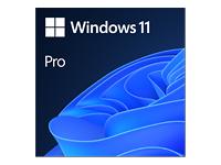 Microsoft Windows 11 Pro, 64-bit, ESD, All Languages