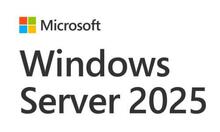 Tarkvara Microsoft Windows CAL 2025, EP2-25279, 5 Clt, OEM